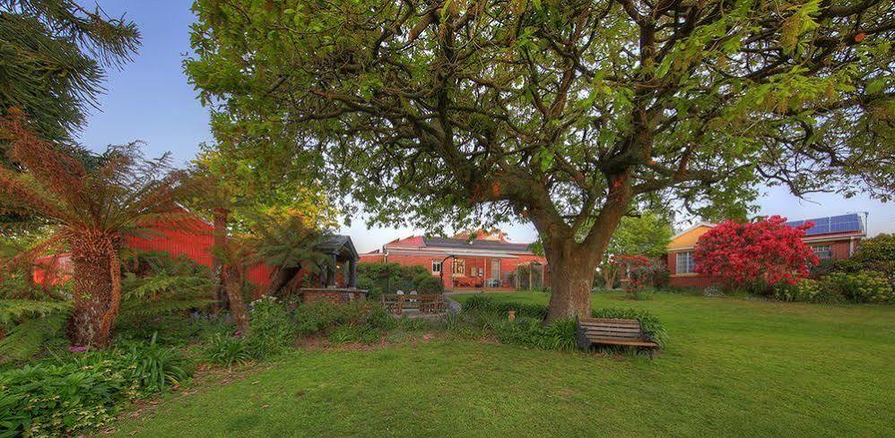 Alexandria Bed And Breakfast Wynyard Luaran gambar